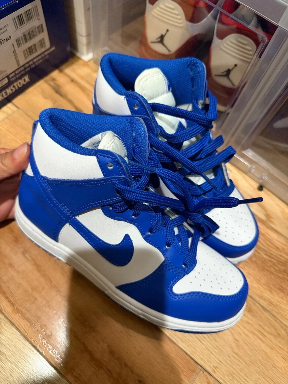 Nike Dunk High 